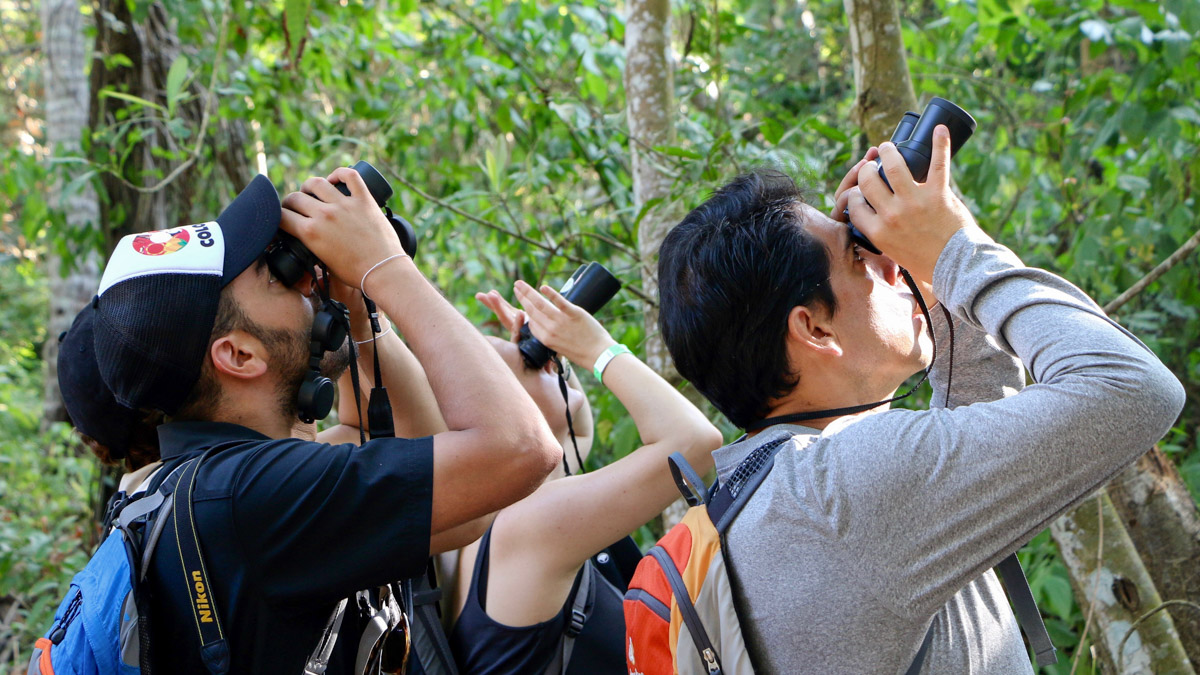 Birding tour. Photo: Natalia Gonima - Patrimonio Natural